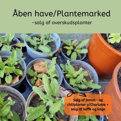 morfarsvaerksted-plantemarked